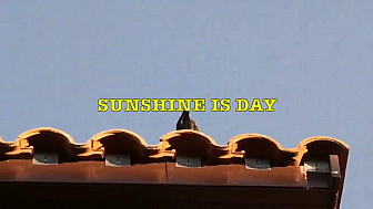 Dan & Doy - Sunshine is day